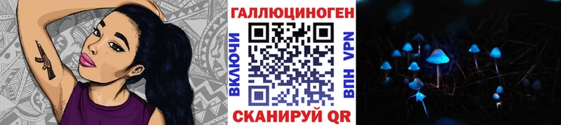 где найти   Дедовск  Галлюциногенные грибы Magic Shrooms 