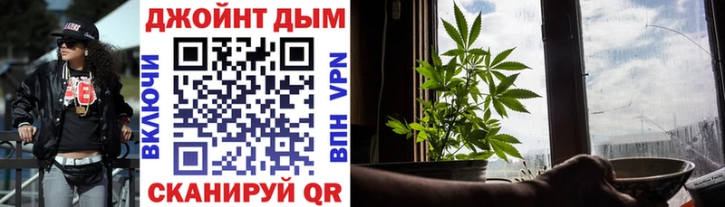 Конопля сатива Дедовск